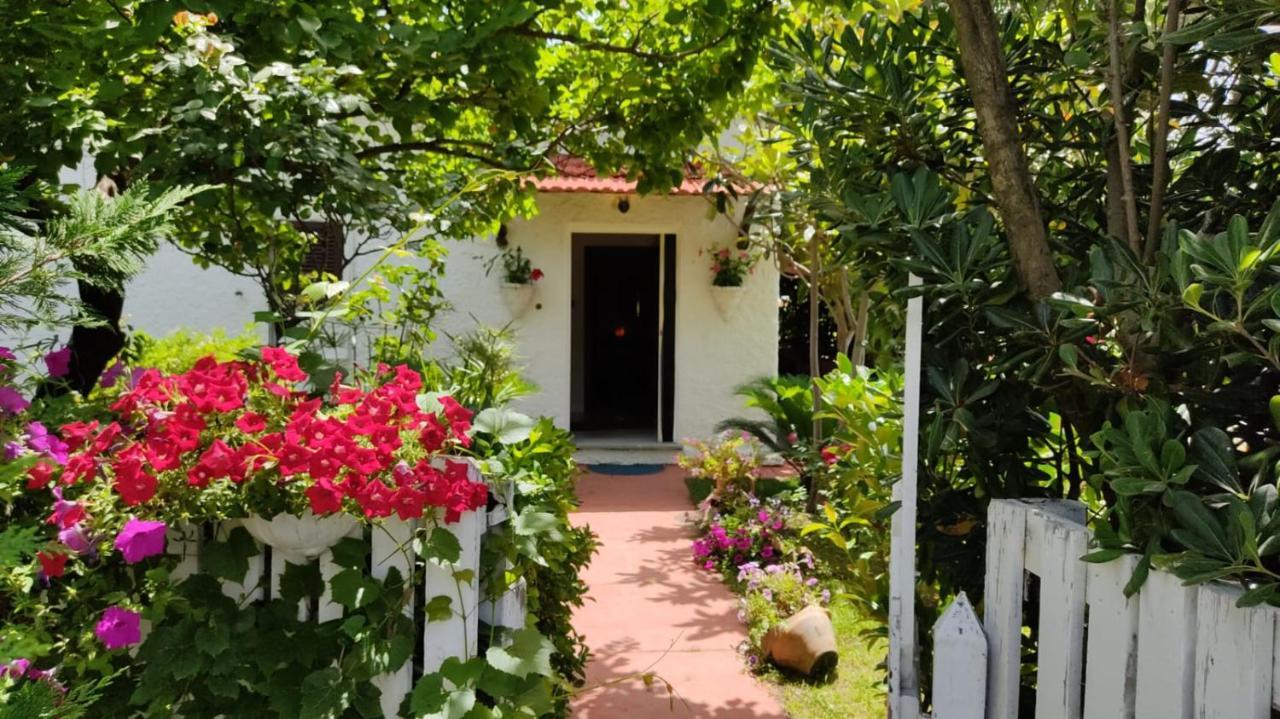 La Corte Delle Rose B&B Прая-а-Маре Екстер'єр фото