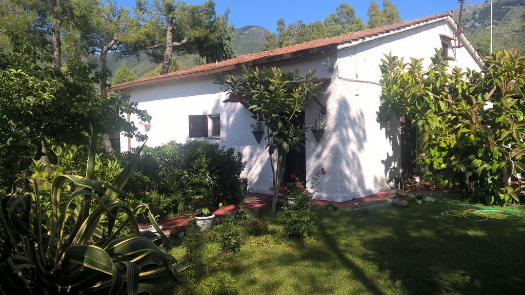 La Corte Delle Rose B&B Прая-а-Маре Екстер'єр фото
